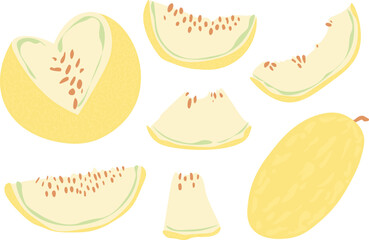 Set of melon fruit. Vector format. Illustration.