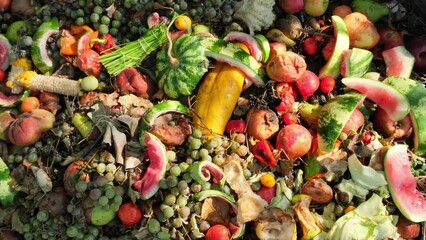 Food Waste. Compostable food scraps. Domestic organic waste for compost from fruits and vegetables. Recyclable materials. Separate waste collection. Compost bin with organic waste