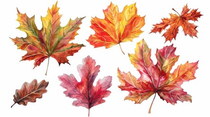 A set of watercolor leaves with a variety of colors, including red, yellow, and green