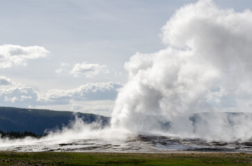 Old Faithful geyser in Yellowstone National Park
