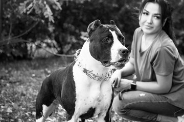 Woman sitting with American Staffordshire terrier on the meadow.