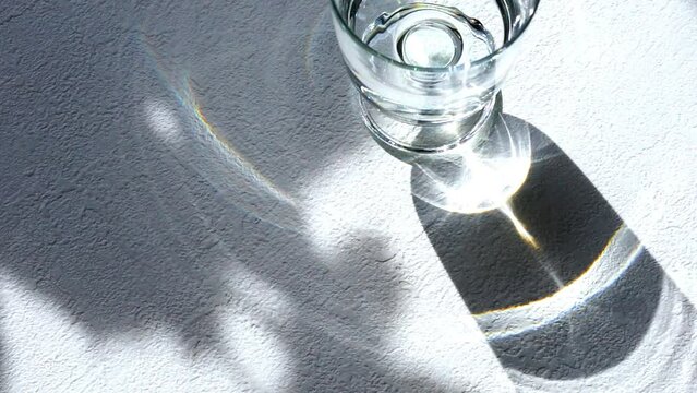 水が入ったグラスと揺れる葉の影、初夏の日差し