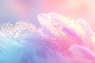 Obraz premium Enchanting feathers background with vibrant colors and delicate textures for creative inspiration
