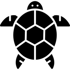 Obraz premium Turtle Icon