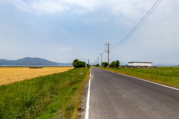 諫早の中央干拓の道路
