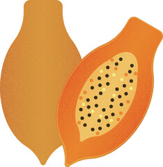 Vector fruit Papaya cartoon vector illustration isolated object