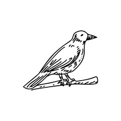 Vector illustration in simple hand drawn and linocut style - natural print, poster or logo design template - spring illustration - birds and flowers
