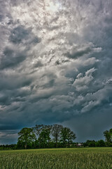 Rozległa równina pokryta młodym, zielonym zbożem. Niebo jest pokryte ciemnymi, skłębionymi chmurami, przez które miejscami przenika światło słoneczne. © boguslavus