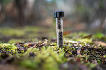 university student conducting research on forest health. farmer collecting soil samples in a test tube in a field. Agronomist checking soil carbon and plant health on a farm in australia