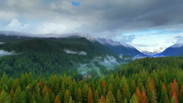 Scenic mountain landscape with dense forest under cloudy sky, Canada