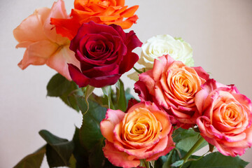 色とりどりのバラ