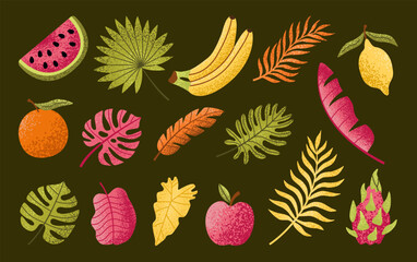 Set of hand drawn tropical leaves and fruits. Palm, banana leaf, monstera, orange, lemon, apple, dragon fruit. Exotic plants. Summer design elements. Vector botanical illustration.