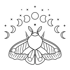 Vector design composition with moth, stars and moon phases in black color