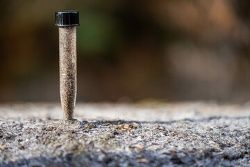 university student conducting research on forest health. farmer collecting soil samples in a test tube in a field. Agronomist checking soil carbon and plant health on a farm in australia