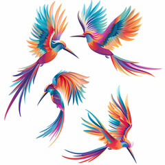 Obraz premium a Set Cute Superb Bird of Paradise on a White Canvas Sticker,vector image