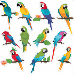 Naklejka premium a Set Cute parrot on a White Canvas Sticker,vector image