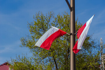 Polskie flagi na słupie latarni w wietrzny czas. Święto Flagi Rzeczypospolitej Polskiej (2 maja)...