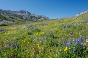 Fototapeta premium A peaceful alpine meadow dotted with colorful wildflowers generated by AI