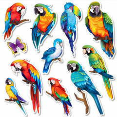 a Set Cute parrot on a White Canvas Sticker,vector image