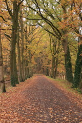Kloster Dinklage im Herbst	