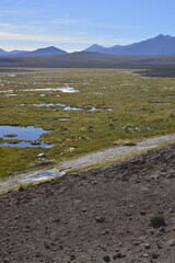 C&ecirc;nico de paisagem na vertical