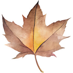 Naklejka premium Hand drawn watercolor autumm forest leaves elements and decoration
