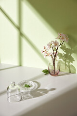 A simple interior background with warm sunlight streaming in through the window.