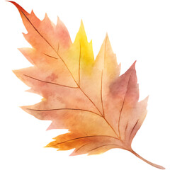 Hand drawn autumm forest leaves elements and decoration, watercolor style.