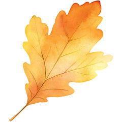 Obraz premium Hand drawn autumm forest leaves elements and decoration, watercolor style.