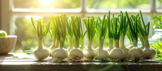 Vibrant Spring Onions Grace a Modern Kitchen with Natural Light