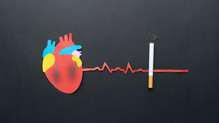 Smoking damages heart and blood vessels. Cigarettes or tobacco with unhealthy human heart organ and...