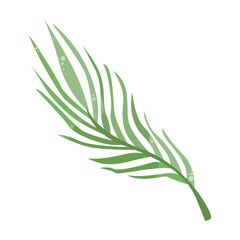 Fototapeta premium Green leaf of palm tree with light and shadow. Tropical theme. Design element for postcard or print. Detailed flat vector illustration on white background