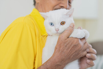 An elderly man holds a small white kitten in his hands, love, care.