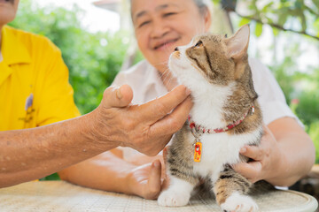 Asian senior couple stroking and play with domestic cat in the garden at home.