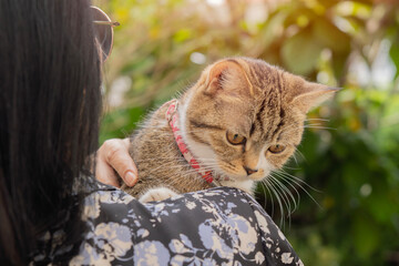 Back view of attractive Asian woman of 50 years with a cute cat in her arms in the garden at home.