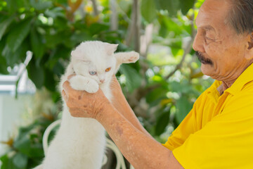 Side view portrait of old age man holding cute two colors eye cat, resting in the garden.