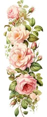 Beautiful illustration of pink roses and green leaves in vintage botanical style on white background. Ideal for floral designs and prints.