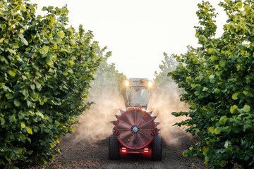 Full length of tractor with agricultural sprayer spraying orchard with herbicide.