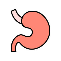 Stomach set icon. Digestive system, organ, gastric, anatomy, digestion, medical, human body, health, stomach function.