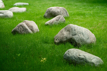 Stones on the green lawn.