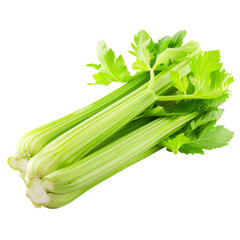 Fresh celery, isolated on transparent background, perfect for food and health-related visual content.