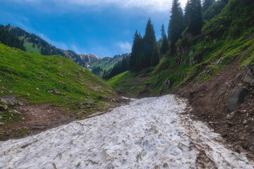 A large snow avalanche descended from the mountain slopes after a snowy winter and remained in the...