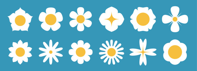 Daisy Variety on Blue