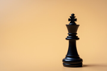 Black chess pieces on a solid color background symbolizing strategic planning and role assignments...