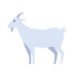 Goat vector illustration. Simple and minimalistic goat icon