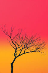 there is a lone tree in the foreground with a red sky in the background