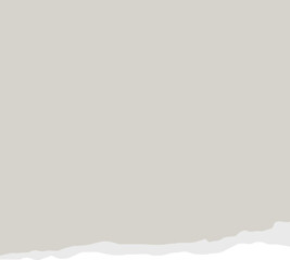 Fototapeta premium Ripped paper page with space text 