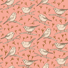 Small tit birds on the blooming cherry blossom and bird tracks on pink background. Vector outline seamless pattern.