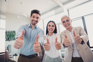 Photo of business people make thumb up symbol advertise in office workstation