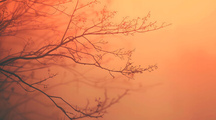 Obraz premium Bare tree branches silhouetted against an intense orange and red sky, creating a moody, evocative scene.